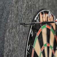 Karella Schallschutz für Steeldartboards