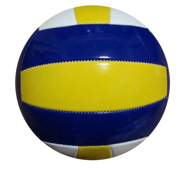 Volleyball Tournament