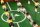 Tischkicker Profi Soccer Deluxe Braun ST
