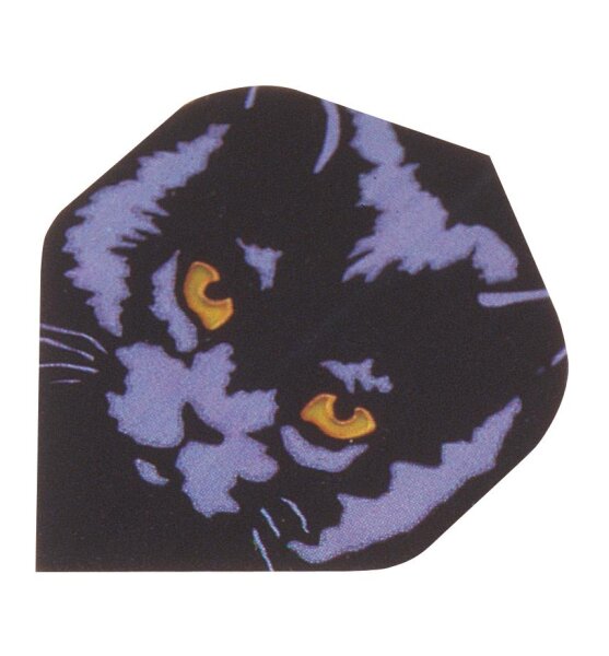 Flights Polymet Katze
