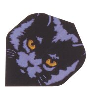 Flights Polymet Katze