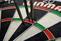 Dartboard Winmau PRO-SFB