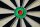 Dartboard Winmau PRO-SFB