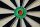 Dartboard Winmau PRO-SFB