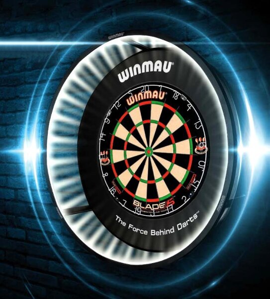 Plasma Dartboard Light black Professional 4300