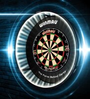 Plasma Dartboard Light black Professional 4300