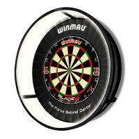 Plasma Dartboard Light black Professional 4300